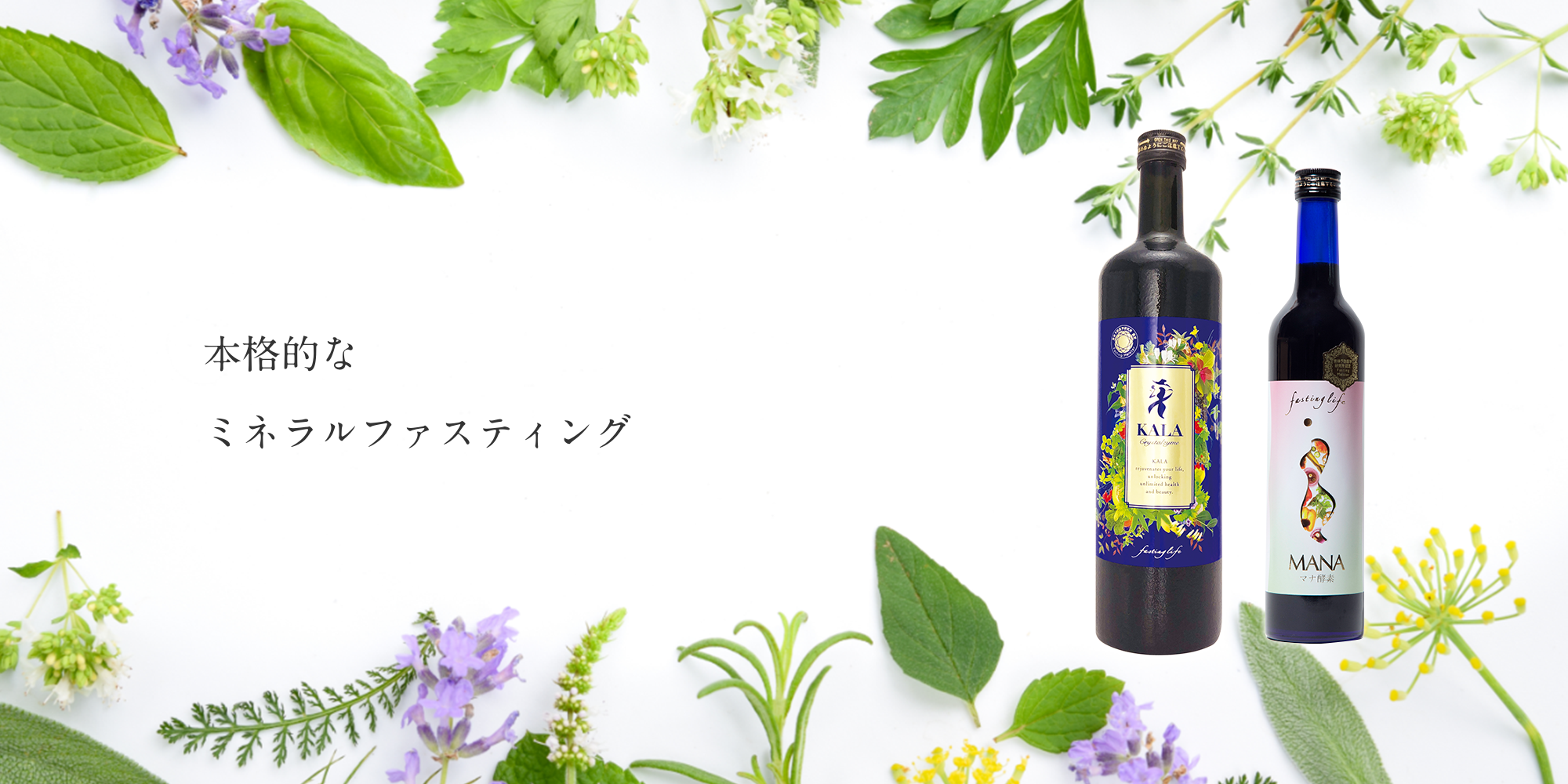 細胞がよろこぶ本格的なデトックスファスティング