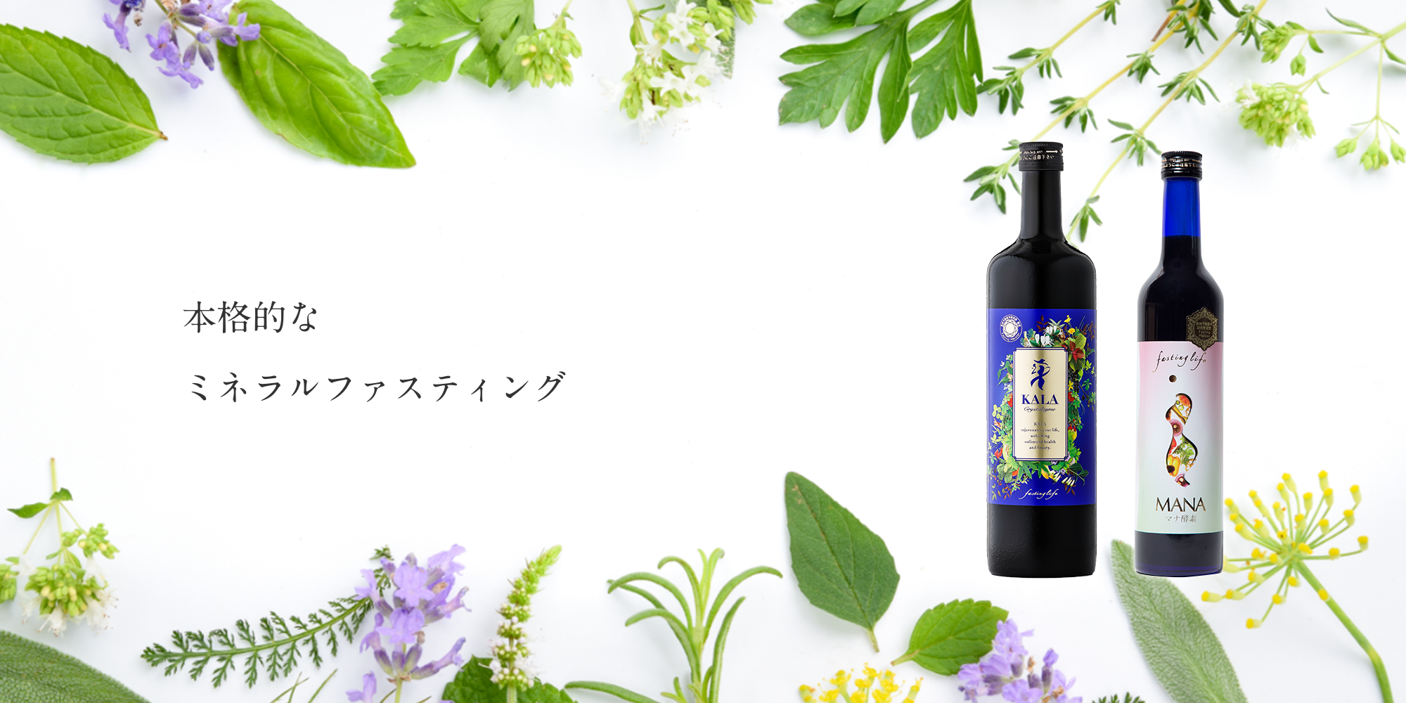 【新品・未使用品】MANA マナ酵素 ファスティング ファスティングライフ