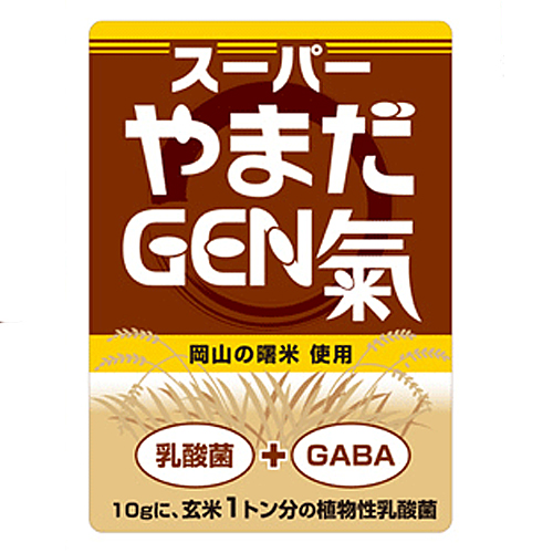 スーパーやまだGEN氣　500g入り（スプーン付属）